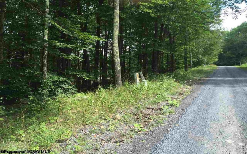 99 Fern Lane, Davis, West Virginia 26260, ,Lots/land,For Sale,Fern,10164854