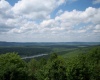 99 Fern Lane, Davis, West Virginia 26260, ,Lots/land,For Sale,Fern,10164854
