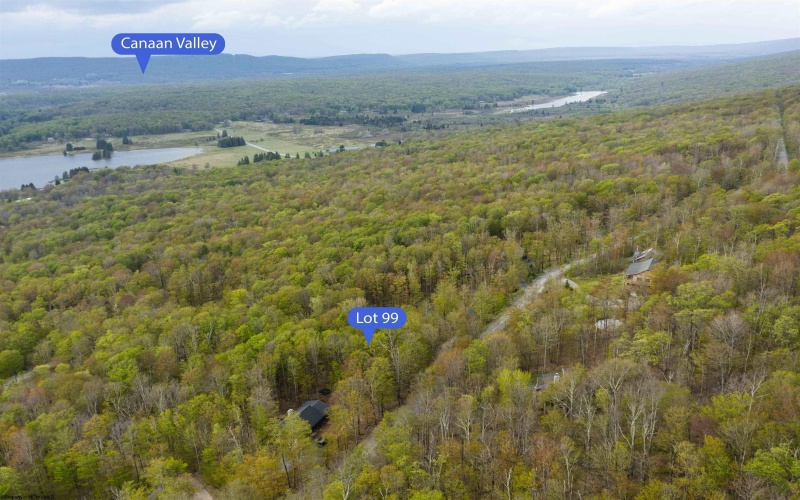 99 Fern Lane, Davis, West Virginia 26260, ,Lots/land,For Sale,Fern,10164854