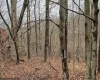 99 Fern Lane, Davis, West Virginia 26260, ,Lots/land,For Sale,Fern,10164854