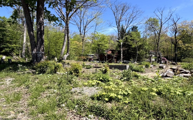 TBD Paradise Circle, Morgantown, West Virginia 26508, ,Lots/land,For Sale,Paradise,10164850