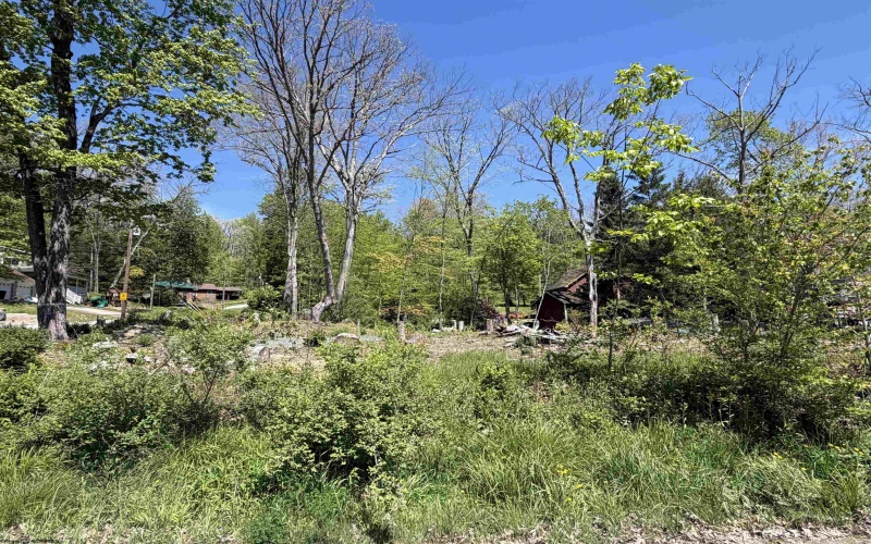 TBD Paradise Circle, Morgantown, West Virginia 26508, ,Lots/land,For Sale,Paradise,10164850