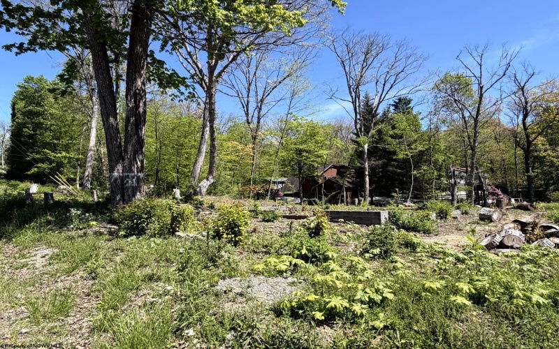 TBD Paradise Circle, Morgantown, West Virginia 26508, ,Lots/land,For Sale,Paradise,10164850