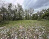 1154 Brady Gate Road, Valley Head, West Virginia 26294, ,Lots/land,For Sale,Brady Gate,10164862