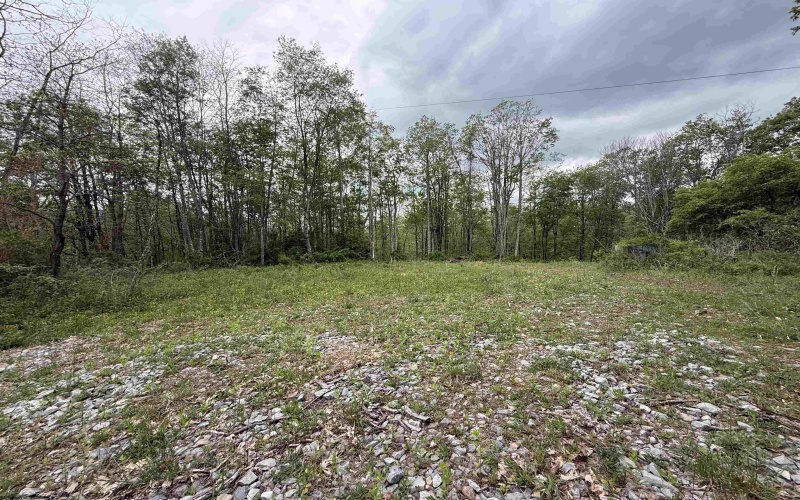 1154 Brady Gate Road, Valley Head, West Virginia 26294, ,Lots/land,For Sale,Brady Gate,10164862