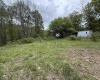 1154 Brady Gate Road, Valley Head, West Virginia 26294, ,Lots/land,For Sale,Brady Gate,10164862