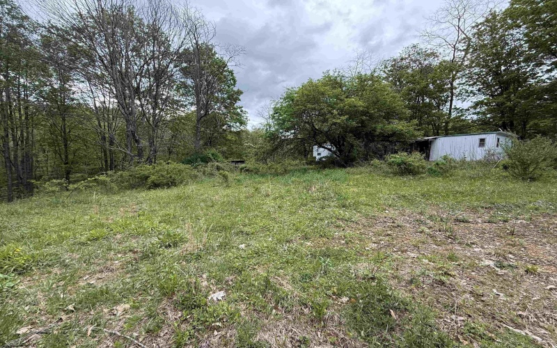 1154 Brady Gate Road, Valley Head, West Virginia 26294, ,Lots/land,For Sale,Brady Gate,10164862