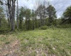 1154 Brady Gate Road, Valley Head, West Virginia 26294, ,Lots/land,For Sale,Brady Gate,10164862
