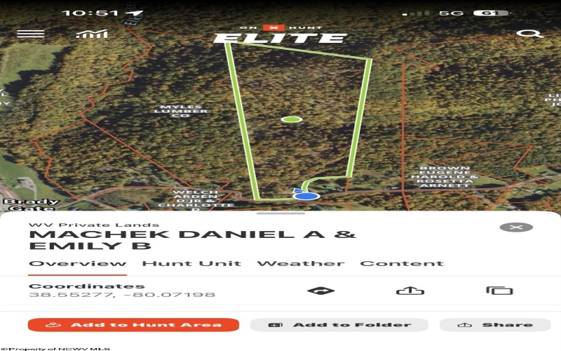 1154 Brady Gate Road, Valley Head, West Virginia 26294, ,Lots/land,For Sale,Brady Gate,10164862