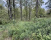 1154 Brady Gate Road, Valley Head, West Virginia 26294, ,Lots/land,For Sale,Brady Gate,10164862