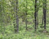 1154 Brady Gate Road, Valley Head, West Virginia 26294, ,Lots/land,For Sale,Brady Gate,10164862