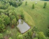 2776 Vista View Road, Kingwood, West Virginia 26537, 3 Bedrooms Bedrooms, 6 Rooms Rooms,2 BathroomsBathrooms,Single Family Detached,For Sale,Vista View,10164869