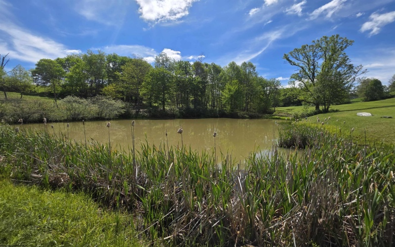2776 Vista View Road, Kingwood, West Virginia 26537, 3 Bedrooms Bedrooms, 6 Rooms Rooms,2 BathroomsBathrooms,Single Family Detached,For Sale,Vista View,10164869