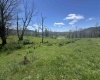 100 Miller Farm Lane, Dryfork, West Virginia 26263-2626, ,Lots/land,For Sale,Miller Farm,10164874