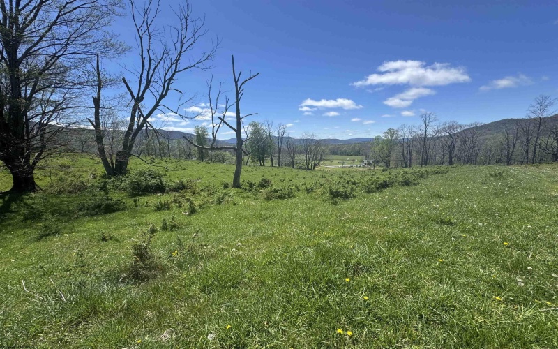 100 Miller Farm Lane, Dryfork, West Virginia 26263-2626, ,Lots/land,For Sale,Miller Farm,10164874