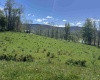 100 Miller Farm Lane, Dryfork, West Virginia 26263-2626, ,Lots/land,For Sale,Miller Farm,10164874
