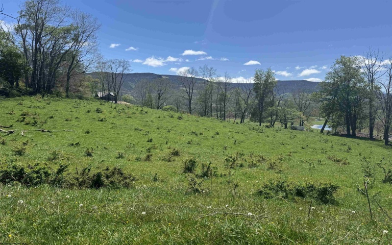 100 Miller Farm Lane, Dryfork, West Virginia 26263-2626, ,Lots/land,For Sale,Miller Farm,10164874