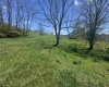 100 Miller Farm Lane, Dryfork, West Virginia 26263-2626, ,Lots/land,For Sale,Miller Farm,10164874