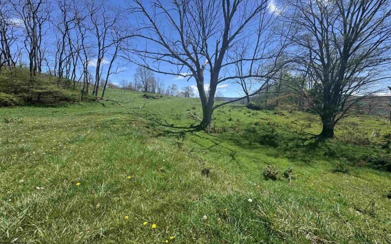 100 Miller Farm Lane, Dryfork, West Virginia 26263-2626, ,Lots/land,For Sale,Miller Farm,10164874