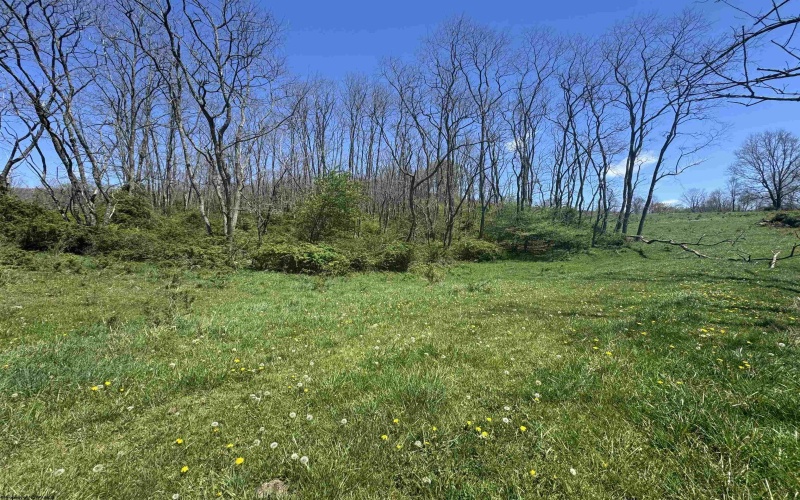100 Miller Farm Lane, Dryfork, West Virginia 26263-2626, ,Lots/land,For Sale,Miller Farm,10164874