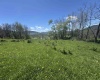 100 Miller Farm Lane, Dryfork, West Virginia 26263-2626, ,Lots/land,For Sale,Miller Farm,10164874