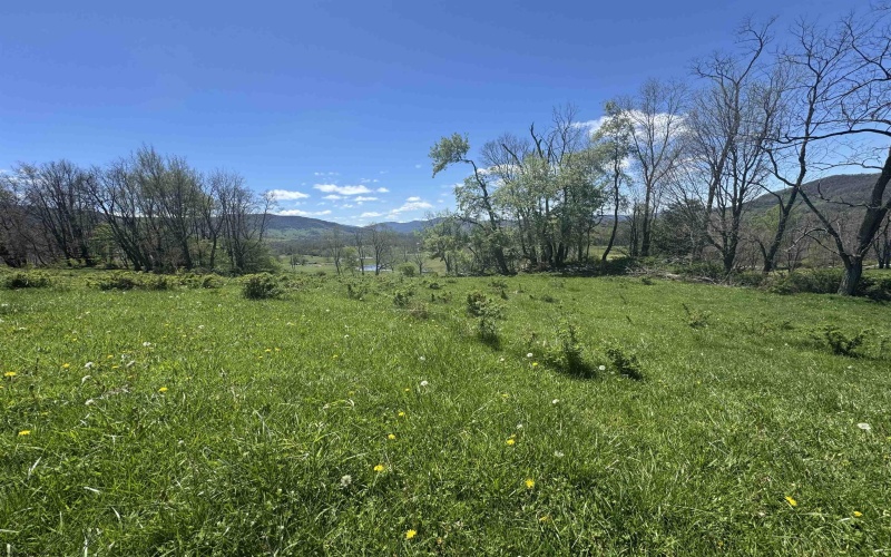 100 Miller Farm Lane, Dryfork, West Virginia 26263-2626, ,Lots/land,For Sale,Miller Farm,10164874