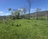 100 Miller Farm Lane, Dryfork, West Virginia 26263-2626, ,Lots/land,For Sale,Miller Farm,10164874