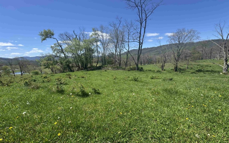 100 Miller Farm Lane, Dryfork, West Virginia 26263-2626, ,Lots/land,For Sale,Miller Farm,10164874
