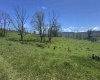 100 Miller Farm Lane, Dryfork, West Virginia 26263-2626, ,Lots/land,For Sale,Miller Farm,10164874