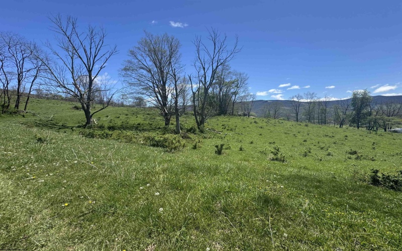 100 Miller Farm Lane, Dryfork, West Virginia 26263-2626, ,Lots/land,For Sale,Miller Farm,10164874