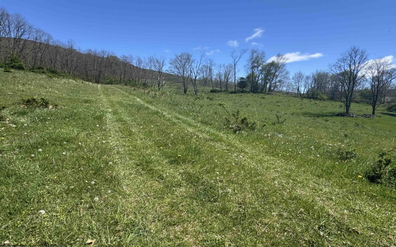 100 Miller Farm Lane, Dryfork, West Virginia 26263-2626, ,Lots/land,For Sale,Miller Farm,10164874