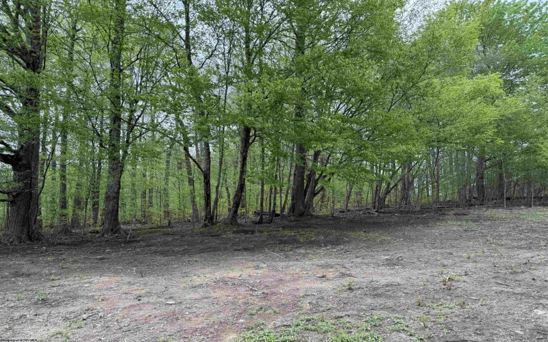 Route 15 (TBD), Valley Head, West Virginia 26294, ,Lots/land,For Sale,15,10164875