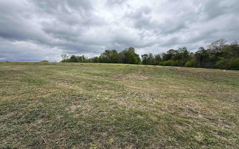 Route 15 (TBD), Valley Head, West Virginia 26294, ,Lots/land,For Sale,15,10164875