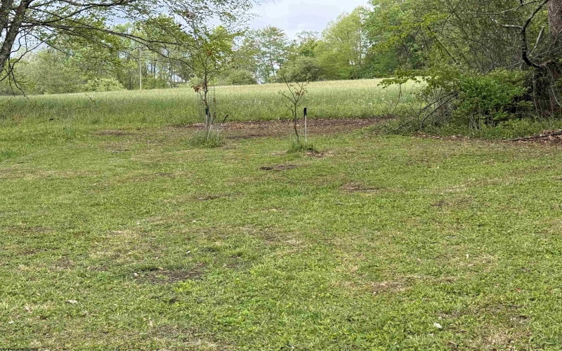 Route 15 (TBD), Valley Head, West Virginia 26294, ,Lots/land,For Sale,15,10164875