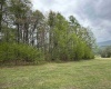Route 15 (TBD), Valley Head, West Virginia 26294, ,Lots/land,For Sale,15,10164875