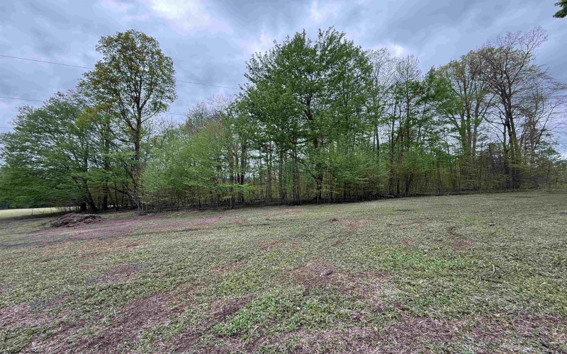 Route 15 (TBD), Valley Head, West Virginia 26294, ,Lots/land,For Sale,15,10164875