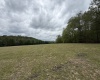 Route 15 (TBD), Valley Head, West Virginia 26294, ,Lots/land,For Sale,15,10164875