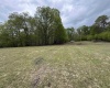 Route 15 (TBD), Valley Head, West Virginia 26294, ,Lots/land,For Sale,15,10164875