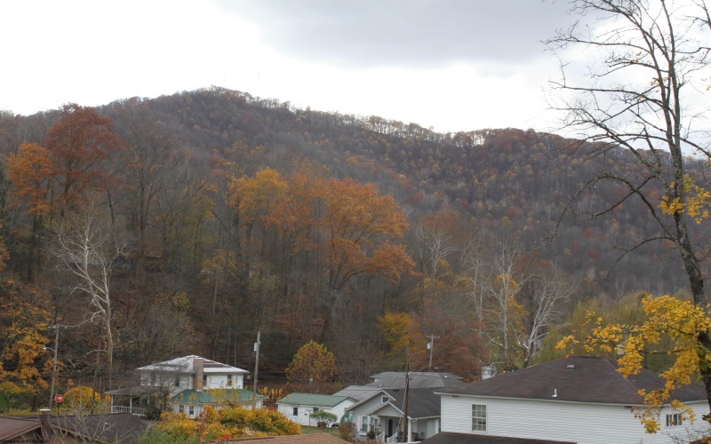 36 Fryer Alley, Webster Springs, West Virginia 26288, 3 Bedrooms Bedrooms, 6 Rooms Rooms,1 BathroomBathrooms,Single Family Detached,For Sale,Fryer,10162421