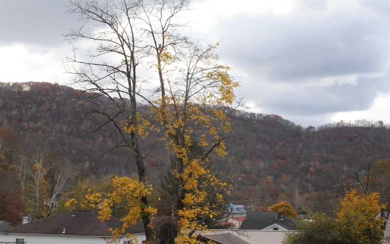 36 Fryer Alley, Webster Springs, West Virginia 26288, 3 Bedrooms Bedrooms, 6 Rooms Rooms,1 BathroomBathrooms,Single Family Detached,For Sale,Fryer,10162421