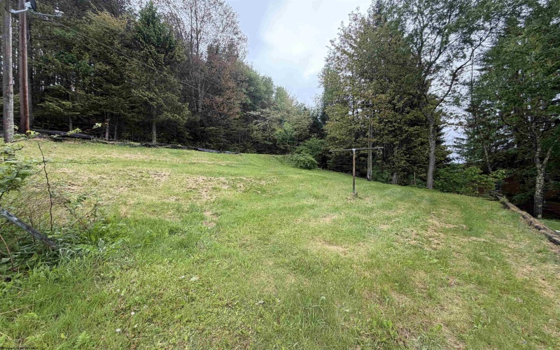 486 Spruce Street, Thomas, West Virginia 26292, 2 Bedrooms Bedrooms, 7 Rooms Rooms,1 BathroomBathrooms,Single Family Detached,For Sale,Spruce,10164882