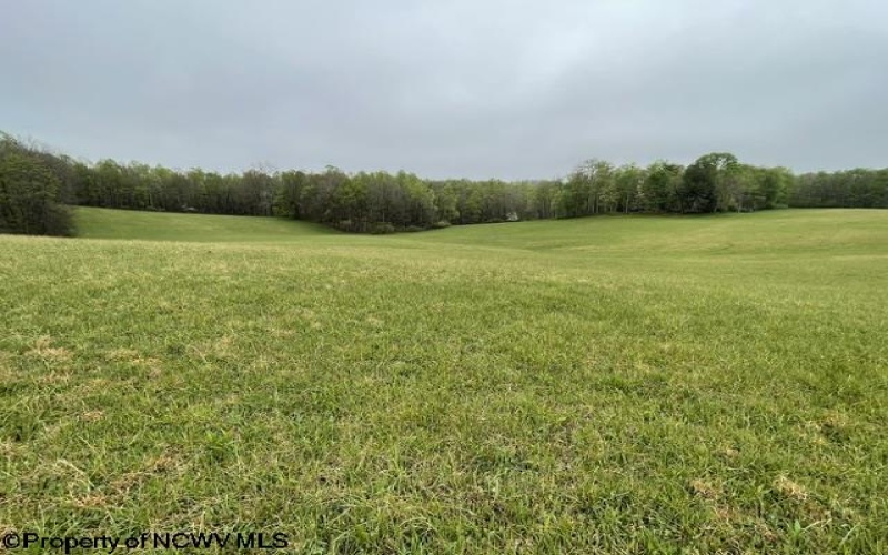 634 Joe Gibson Road, Newburg, West Virginia 26410, 1 Bedroom Bedrooms, 5 Rooms Rooms,1 BathroomBathrooms,Single Family Detached,For Sale,Joe Gibson,10164884