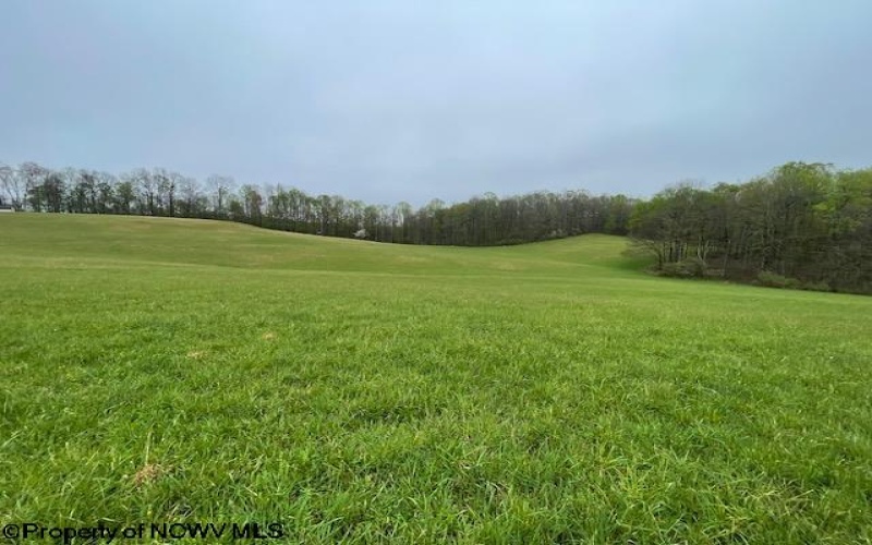 634 Joe Gibson Road, Newburg, West Virginia 26410, 1 Bedroom Bedrooms, 5 Rooms Rooms,1 BathroomBathrooms,Single Family Detached,For Sale,Joe Gibson,10164884