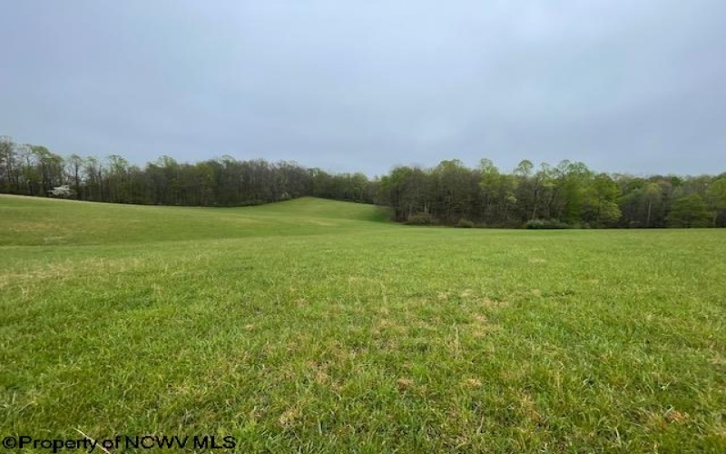 634 Joe Gibson Road, Newburg, West Virginia 26410, 1 Bedroom Bedrooms, 5 Rooms Rooms,1 BathroomBathrooms,Single Family Detached,For Sale,Joe Gibson,10164884