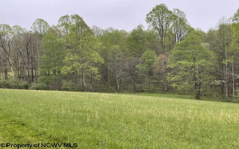 634 Joe Gibson Road, Newburg, West Virginia 26410, 1 Bedroom Bedrooms, 5 Rooms Rooms,1 BathroomBathrooms,Single Family Detached,For Sale,Joe Gibson,10164884