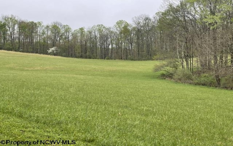 634 Joe Gibson Road, Newburg, West Virginia 26410, 1 Bedroom Bedrooms, 5 Rooms Rooms,1 BathroomBathrooms,Single Family Detached,For Sale,Joe Gibson,10164884