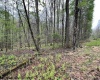 634 Joe Gibson Road, Newburg, West Virginia 26410, 1 Bedroom Bedrooms, 5 Rooms Rooms,1 BathroomBathrooms,Single Family Detached,For Sale,Joe Gibson,10164884