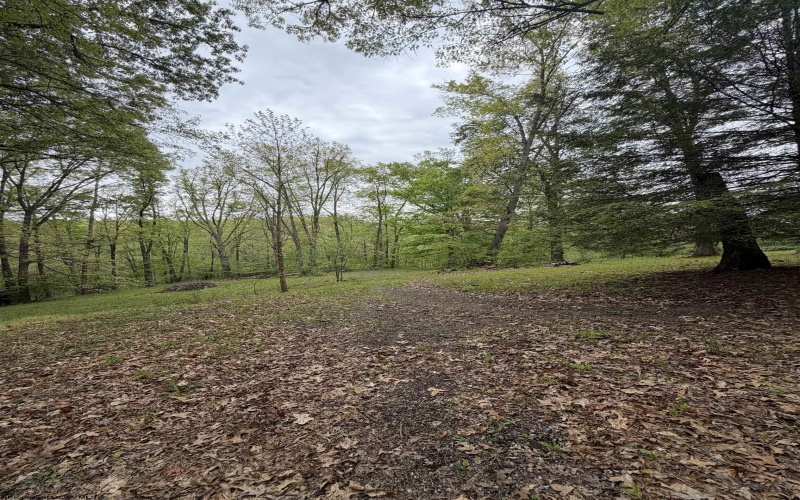 3112 Back Road, Mill Creek, West Virginia 26280, 3 Bedrooms Bedrooms, 6 Rooms Rooms,2 BathroomsBathrooms,Single Family Detached,For Sale,Back,10164892
