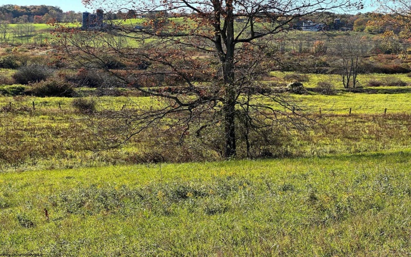TBD VAlley View Drive, Masontown, West Virginia 26547, ,Lots/land,For Sale,VAlley View,10164930 TBD VAlley View Drive, Masontown, West Virginia 26547, ,Lots/land,For Sale,VAlley View,10164930