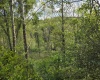 TBD Dupont Road, Westover, West Virginia 26501, ,Lots/land,For Sale,Dupont,10164909